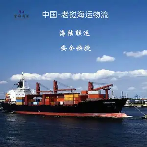 国际海运老挝专线 海运双清到门老挝专线 老挝万象琅勃拉邦整柜海运物流