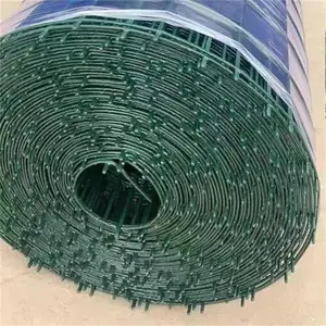 ��ɫ������˿�� ��ֳ��ѼΧ���� ��԰������˿����