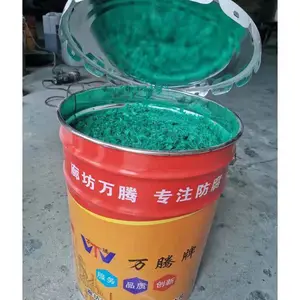 ������Ƭ��ͿVEGF-1 ��ϩ��������Ƭ����