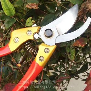 ��֦V8�ּ� SK5��̼�� ԰��ר�� ��԰�޼���֦���� ʡ����֦��