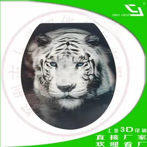 ��Ӧ����3D͸������ӡˢ��D��Ƭ����ɫĥɳ͸����Ƭ��
