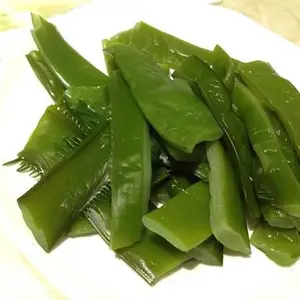 80型水浴气泡海白菜清洗机,茶叶去泥清洗设备,火锅蔬菜清洗机,南瓜加工洗菜设备,南瓜清洗机定做