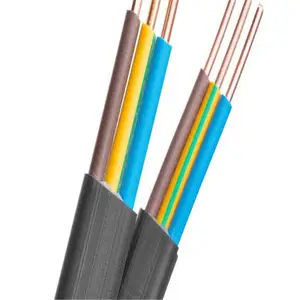 ������ͭо����AVVR/RVV2о3о4о0.3 0.2��Դ���źſ�����������
