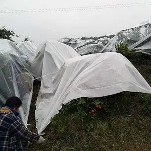 橘子防寒布效果-恒达布业-崇左防寒布