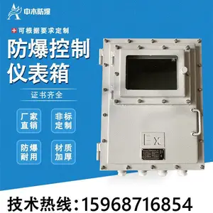 防爆仪表配电箱仪表带按键防爆箱 立式钢板变频器防爆控制按钮箱