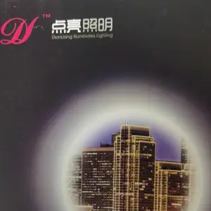 广州点亮照明灯饰有限公司