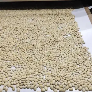 ����������º決����豸 ΢���濾ɱ���豸