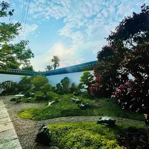 吴江区马路绿化施工改建什么价格 真诚推荐 宜兴市龙崎园林绿化工程供应