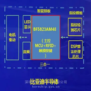 BYD���ǵ� MCU������¼�� ����о���Ӵ��� ԭ����Ȩ��Ӧ