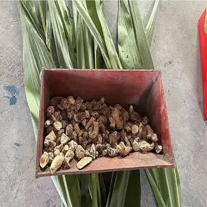 ����NEϵ�ж�ʽ�������϶�NE15/NE30/NE50��ҵ�����������϶�