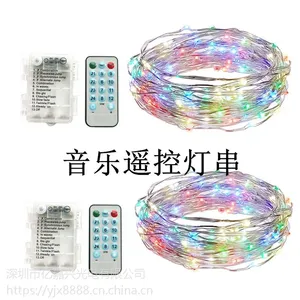 厂家直销新款批发LED灯声控铜线灯音乐灯串遥控装饰灯串