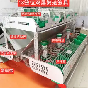 兔笼养殖笼 欧式双层兔笼 养殖场兔笼