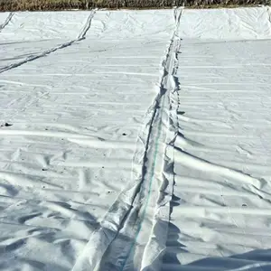 PET��ˮ����һĤӪ��ֲ��������