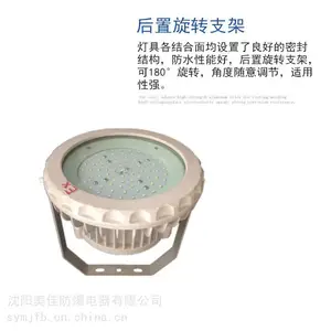 防爆LED灯 防爆标志灯 防爆吊灯 足功率100W防爆灯 沈阳工厂