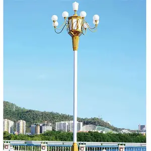8米中华灯 供应山东淄博道路照明灯