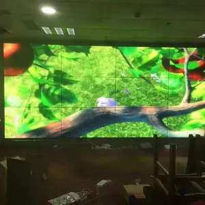 46��Һ���������Ļ 55�義��������ǽ��ʾ��