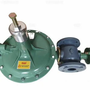 R140S燃气调压器 调压阀 减压阀 法国瑞盖斯RAYGAS 铸铁材质