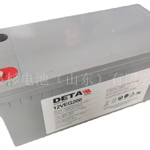 �¹���ɼDETA����10OPZV1000����������������ƿ2V1000AH