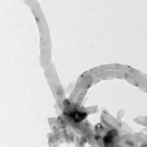 纳米碳化硅晶须 增强陶瓷材料 50nm高长径比 高导热性材料 电子封装用