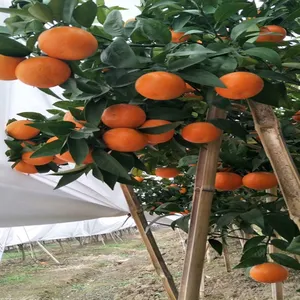 ���������� ũ�ø��ٷ����� ���Ǳ��°�ɫԽ�������� �޷Ĳ���������