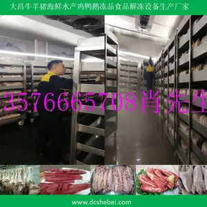 小型海鱼解冻设备,海鲜快速解冻设备