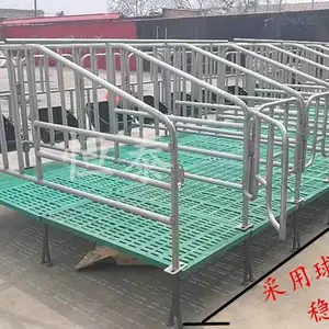 沧州腾硕母猪产床定位栏限位栏2.0与2.5厚镀锌管门宽可定制