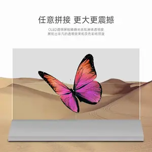 鑫视界55寸电容触控OLED透明显示器_透明OLED屏应用解决方案提供商