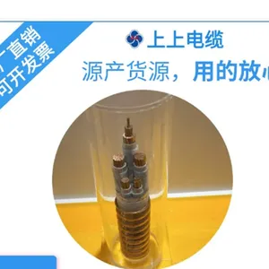 ���ϵ��¼���BTLY 4*35+1*16ͭо���Կ����Ե��ѹ����