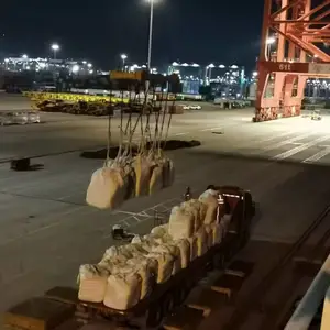 环航国际散杂船(中东 蒙巴萨 达累斯萨拉姆 坦噶 德班 贝拉等非洲为主 )DDP 清关派送