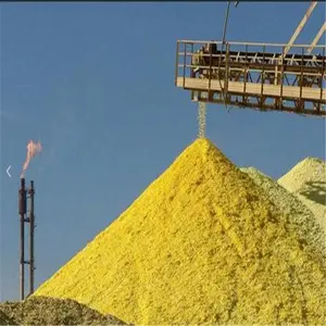 ����ɱ����������Ƿ�����������