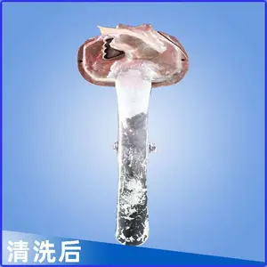 供应自来水玩具铜模清洗机,一体式洗模机,