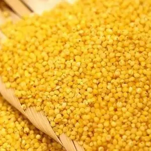 小型谷物去皮机 东北豆脱皮机 豌豆去皮机