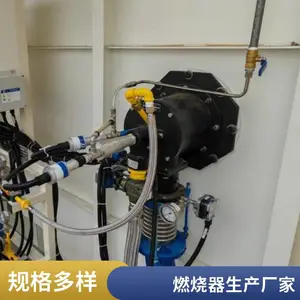 岱鼎 500万大卡天然气 低氮燃烧器 支持定制 规格齐全 维护保养