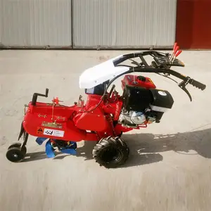 ���ʹ�п��������� ����ʽ��¢�� ����������