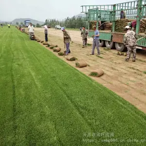 �������� ��ƺ���ع�Ӧ�ͺ��ͼ�̤�伾�Ͳ�ƺ ��Ƥ***��