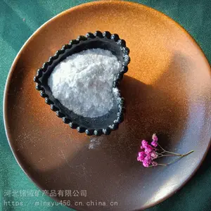 泉州钢铁厂酸洗装置用鳞片粉 耐酸碱玻璃鳞片粉