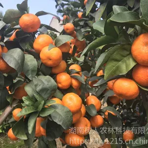 �����޺�ɳ�ǽ���۸��������ɳ�ǽ�����/����/����/��ɳ�ǽ�Ʒ��ɳ�ǽ���۸������������ɳ�ǽ�����/