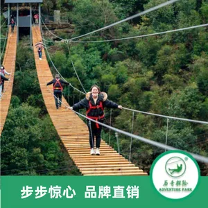 公园景区挑战桥设施 户外文旅拓展体验 历奇探险设计施工