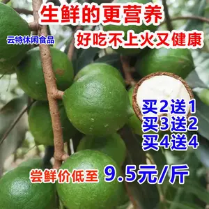 彝山香云南新鲜夏威夷果原味生果澳洲坚果无添加孕妇营养