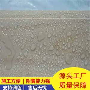FWA-DPS永凝液防水剂 基层处理方法简单快捷
