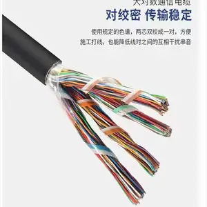 HYAT22-10*2*0.9mm����ͨ�ŵ���