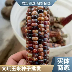 ��ũҵ��ҵ��Ŀ֮��ʯ���� ����������������������