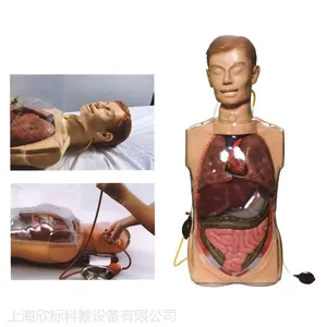 欣标科教H80多功能透明洗胃训练模型、透明洗胃模型