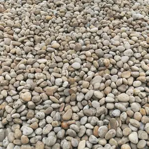 精抛鹅卵石 园艺装饰鹅卵石 欢迎选购
