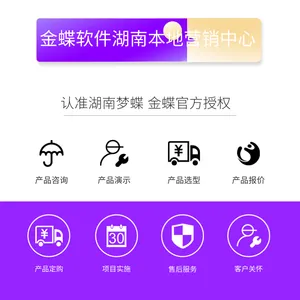 醴陵生产型企业KIS云旗舰版,KIS云专业版