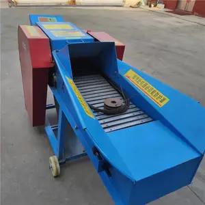�ո���˿�� �綯����ա�ݻ� �³���ʪ���û���������