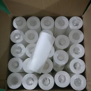5寸PP棉滤芯127*60*30mmPP sediment filter 5MICRON净水过滤器