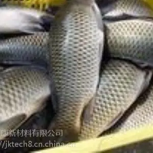 ������������ö�����ʳ����ʳ����ҧ����DMPT02