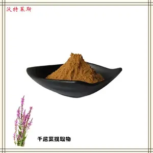 千屈菜提取物 生粉 水枝柳/对叶莲 多种提取物规格1公斤起订