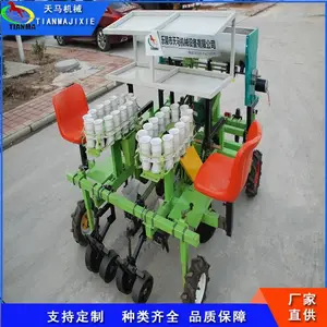 ���пɶ��ƹ������Ի� С������ֲ�� ���������
